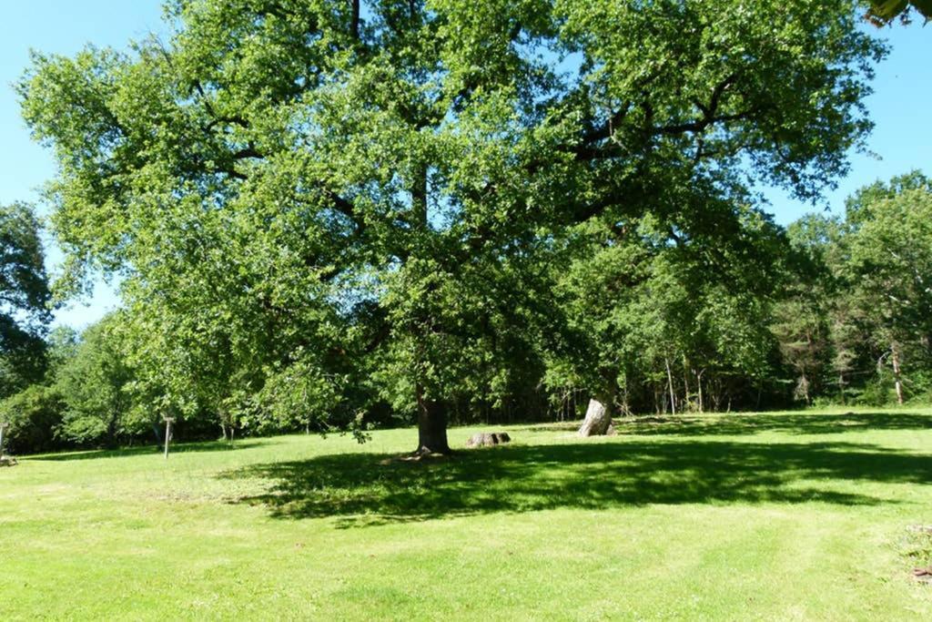 Gite En Brenne Les Chenes Merigny ภายนอก รูปภาพ